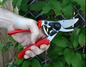 Felco 10 Budama Makası 21cm Sol By-Pass - 3