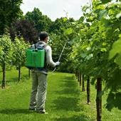 DiMartino Rosy 16 İlaçlama Pompası Kollu 16 Litre - 2