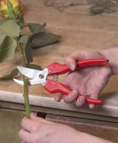 Felco 300 Budama Makası ve Felco 600 Budama Testeresi - 2