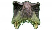 JURASSİK PARTİ MASKE 6 ADET - 1