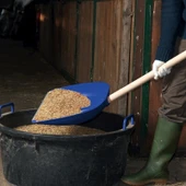 DiMartino 5001B Genel Amaçlı Kürek 39.5x42cm - 4