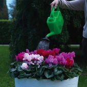 DiMartino Proline 12 Yağmurlama İbriği 12 Litre - 3