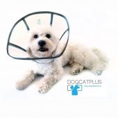 DogCatPlus Elizabeth Şeffaf Yakalık  MEDİUM - 2