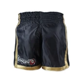 DragonDo MT2019 Federasyon Onaylı MuayThai Şortu - 2