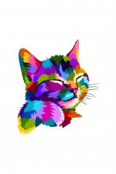Rengarenk Kedi Sticker Oto Motor Laptop Bilgisayar 6 Cm Etiket Çıkartma - 1