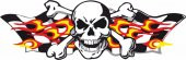 Sticker Masters Skull Sticker - 1