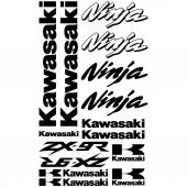 Sticker Masters Kawasaki Ninja ZX-9r Sticker Set - 1