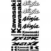 Sticker Masters Kawasaki Ninja ZX-12r Sticker Set - 1