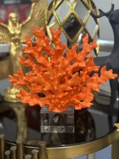 KRISTAL KAİDELİ MERCAN TURUNCU - 3