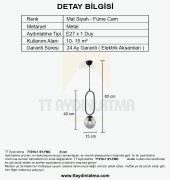 TT Aydınlatma TT016-1 SY  Mat Siyah Füme Camlı Tekli Avize thumbnail 3