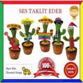 Dansçı Kaktüs USB Şarjlı Ses Taklidi Yapan Işıklı Konuşan Dans Eden Oyuncak Kaktüs - 9
