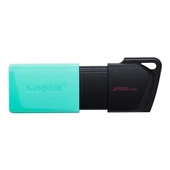 Kingston 256GB Exodia M DTXM/256GB - 1