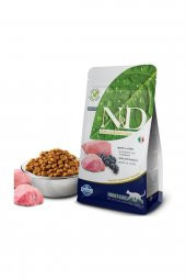 Tahılsız Kuzu Etli Yaban Mersinli Yetişkin Kedi Maması 10 kg - 1