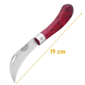 Desan EĞRİ Aşı Bıçağı Paslanmaz Ceviz Aşı Çakısı 19 cm - 3