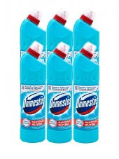 Domestos Çamaşır Suyu 750 ml Okaliptüs Ferahlığı, 6 lı - 1
