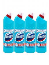 Domestos Çamaşır Suyu 750 ml Okaliptüs Ferahlığı, 4 lü - 1