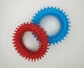 Evcil Hayvan Köpek Isırma Çemberi 9,5 Cm - 1