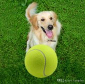 Tenis Topu Köpek Oyuncağı 3 Adet - 2