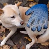 Kedi Ve Köpek İçin Tüy Toplama Eldiveni - 4