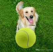 Tenis Topu Köpek Oyuncağı 1 Adet - 2