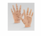 El Maketi Akupunktur Noktaları 835 - 1