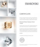 Monemel Swarovski Mavi Crystal kalp küpe (Altın Kaplama) - 2