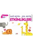 Minik Ada Sağ Beyin Sol Beyin Etkinlikleri 5 Yaş - 1