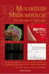 MOLEKÜLER MİKROBİYOLOJİ -PALME - 1