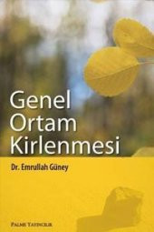 GENEL ORTAM KİRLENMESİ - PALME - 2