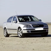Skoda Octavia A5 2005-2008 Arka Kapı Kolu Bademi İç Parça 1K4839167 thumbnail 2