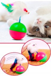 Kedi Oyun Topu Fareli Hacı Yatmaz - 1