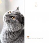 Kedi Dünyası Journal Düz - 3