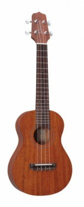 TAKAMINE GU-C1 Concert Ukulele - 1