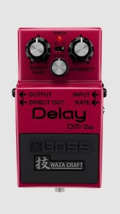 Boss DM-2W Waza Craft Delay Pedal thumbnail 1