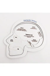 Moon Beavers Kafanın Yapısı Eğitici Öğretici Geliştirici Ahşap Sağlıklı Oyuncak 20x20 Cm - 4