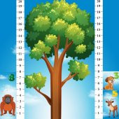 Math Forest Matematik Oyunu Eğitim Dizayn - 3