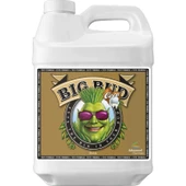 Advanced Nutrients Big Bud Coco 250 ml - 1