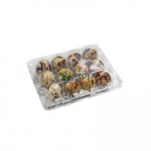 BILDIRCIN YUMURTASI VİYOLÜ 400 ADET - 1