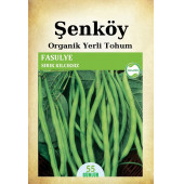 Şenköy Sırık Taze Fasulye Tohumu Doğal Ata Kılçıksız Sırık Fasulye Tohum Pakette 25 GR - 1