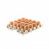 20 Lİ KARTON YUMURTA VİYOLÜ 25 LBS  (ÇİFT SARILI - ÇOK BÜYÜK YUMURTALAR İÇİN)  140 ADET - 1