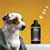 Sleepy Petcare Lavanta Yağlı Evcil Hayvan Şampuanı 500 ml - 2