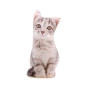 YEŞİL GÖZLÜ AÇIK KAHVE KEDİ PELUŞ YASTIK - 1