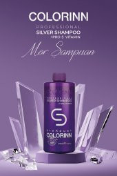 Colorinn Stardust Silver Mor Şampuan 500 ML - 1