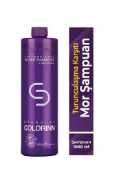 Colorinn Stardust Silver Mor Şampuan 1000 ML - 3