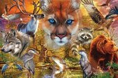 KS Puzzle 1000 Parça North American Animals - 2
