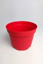 8.5 cm Kaktüs Sukulent Saksısı 5 Adet Kırmızı Tekpar Plastik Üretim Saksısı Bol Drenaj Deliği - 2