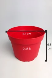 8.5 cm Kaktüs Sukulent Saksısı 5 Adet Kırmızı Tekpar Plastik Üretim Saksısı Bol Drenaj Deliği - 5