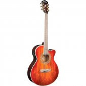 Washburn EA55G Festival Elektro Akustik Gitar thumbnail 1