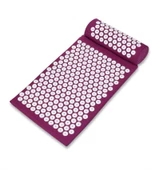 Dikenli Akupunktur Şiltesi, Çivimat - 1