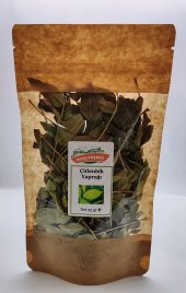 Karşı Köyden Çitlenbik Yaprağı (Melengiç) (Celtis Australis) - 25gr - 1